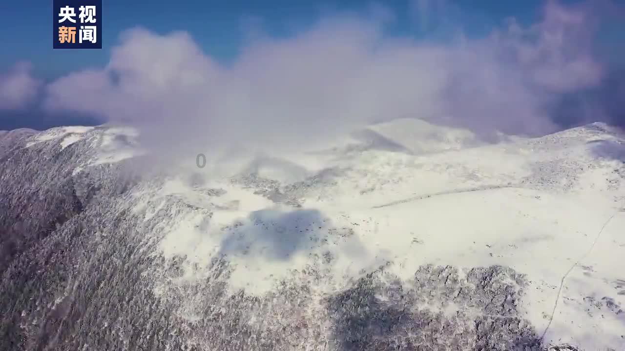 谈恋爱的意义到底是什么游戏画面