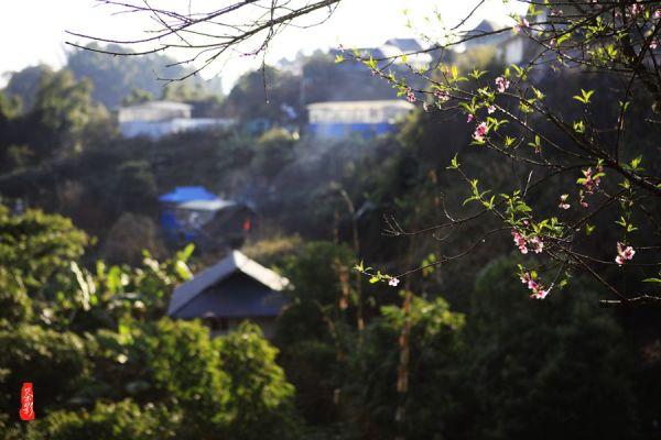 挖掘传承和平东路片区工业历史文化打造我市工业文旅新地标