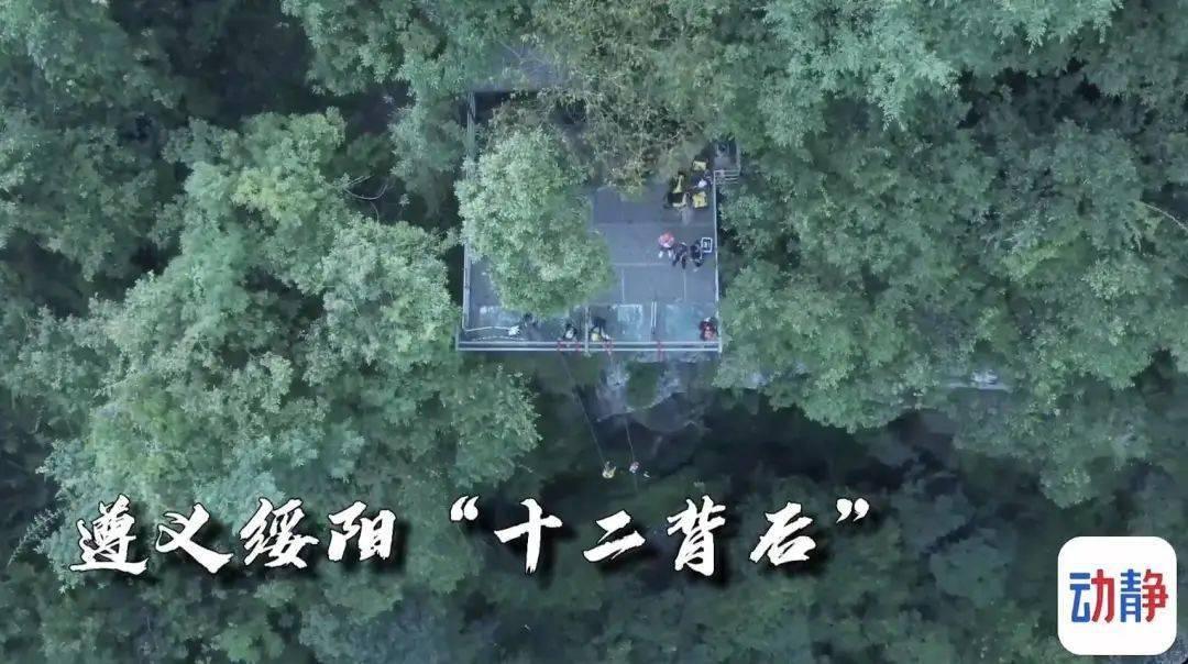 二手平台能买到“超低价机票”?紧急提醒→