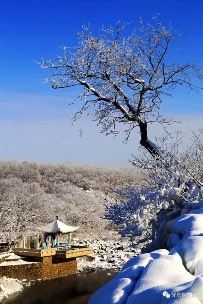 俗语：“二月没九，饿死猪狗”，什么意思？牛年2月有“九”吗？