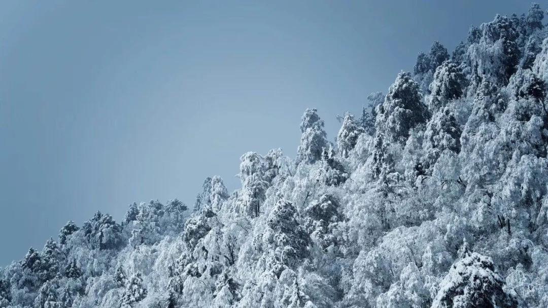 江西省渝水区发布暴雪黄色预警