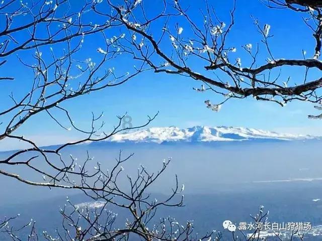 沉浸式“超级年货”盛宴 雷沃谷神领航金刚Ⅱ代plus履带机焕新发布