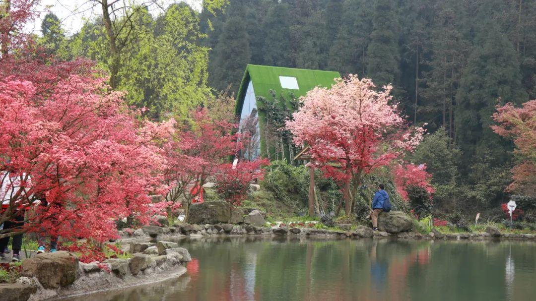 探索神秘小屋5