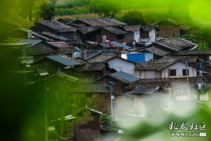 流放骑士