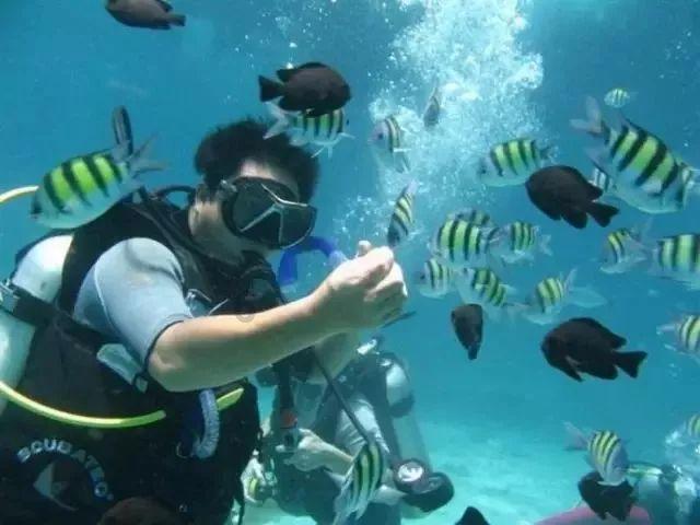 飞行员的测试