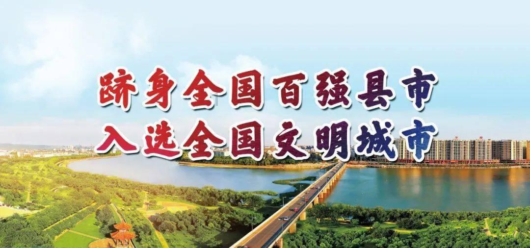 救援呆萌的猫