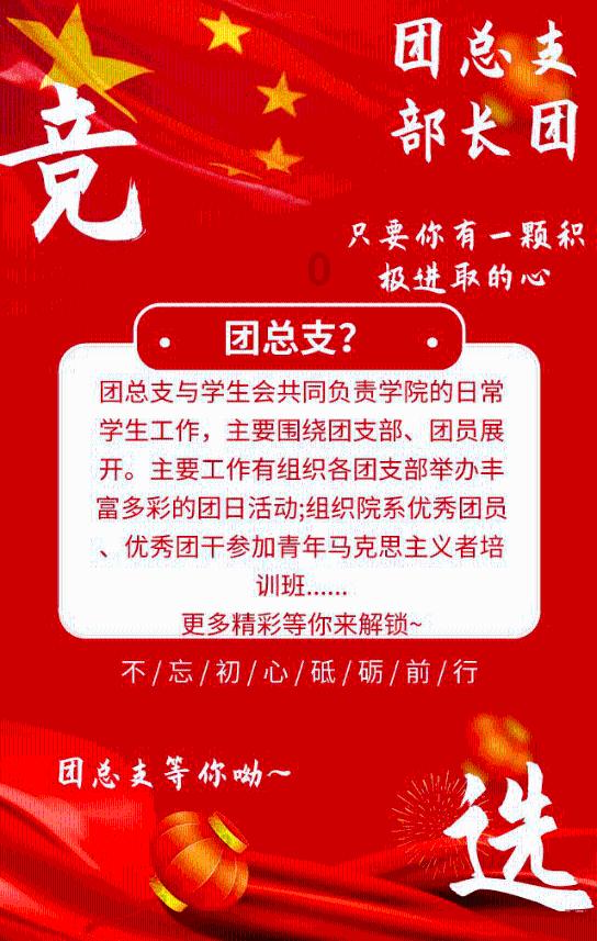 金牌保镖熊先生