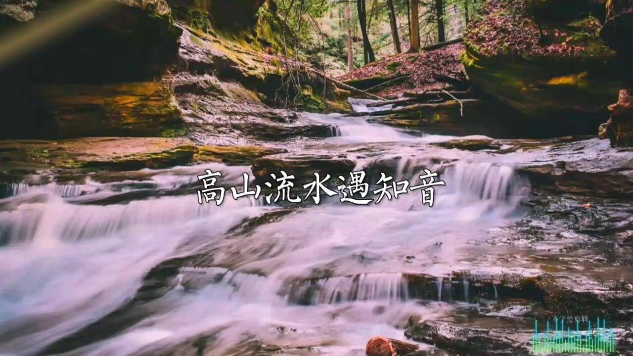 章鱼喷墨汁
