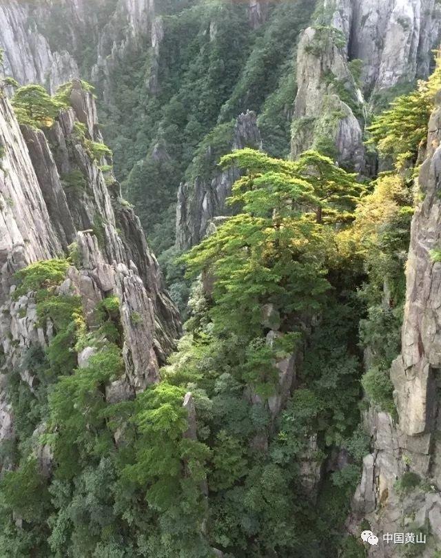 探索这个游戏名字叫什么？知识星球，解锁无限学习乐趣