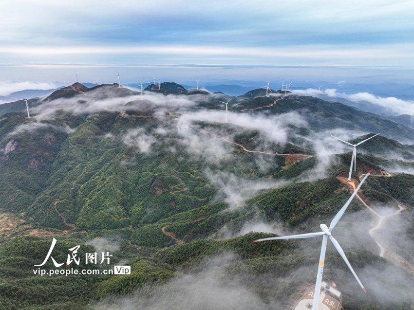 妈妈过世第二年可以给爸爸过生日吗？游戏画面