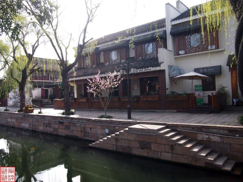 动物帮帮忙保卫家园