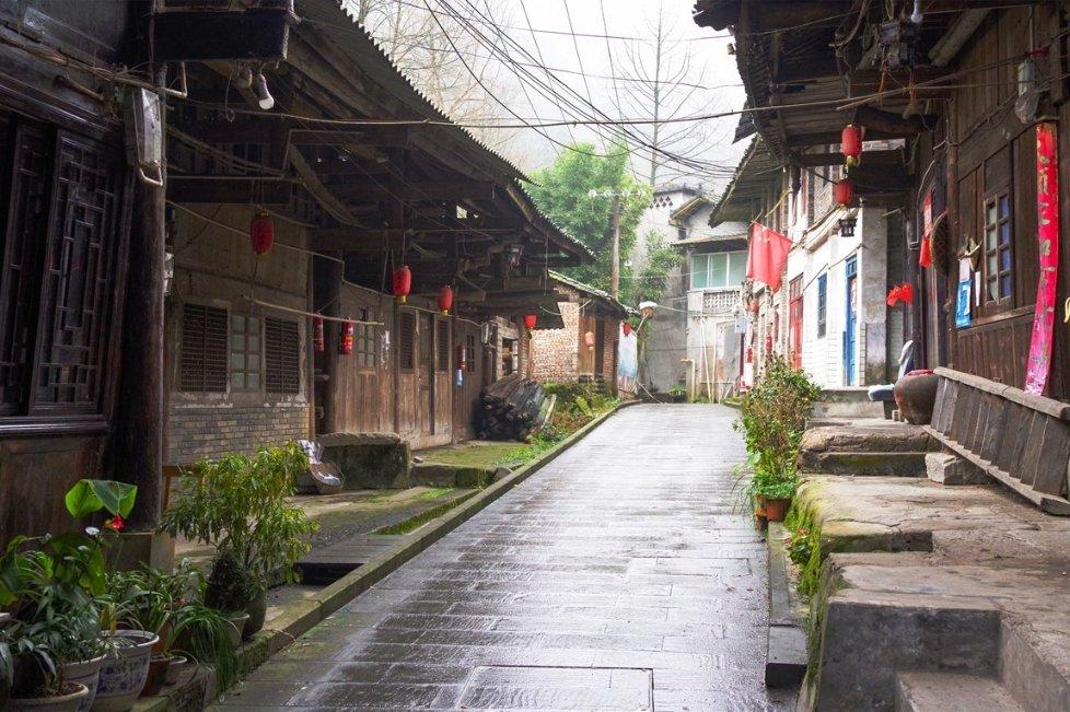 救援受困的火鸡