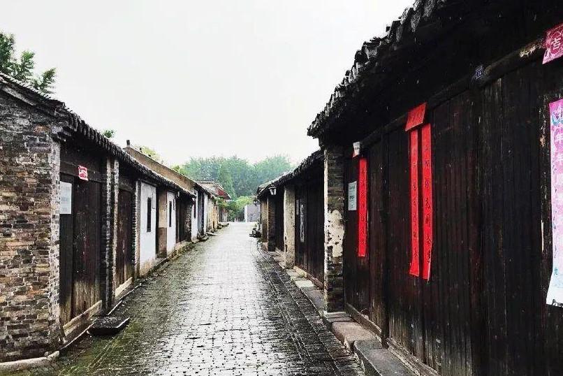 苏州工业园区淞泽社区：感受文化魅力，共筑美好社区