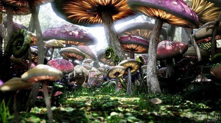全文|证监会进一步加强融券业务监管，全面暂停限售股出借